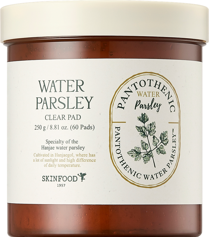 سكن فود مسحات ماء بانتوثينيك البقدونس 250 جم (60 مسحة)